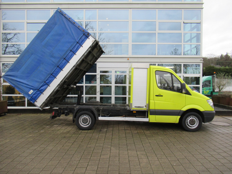 Volquete furgoneta Mercedes-Benz Sprinter 313 2.2 CDI 366 Kipper - Tipper Plane huif: foto 5
