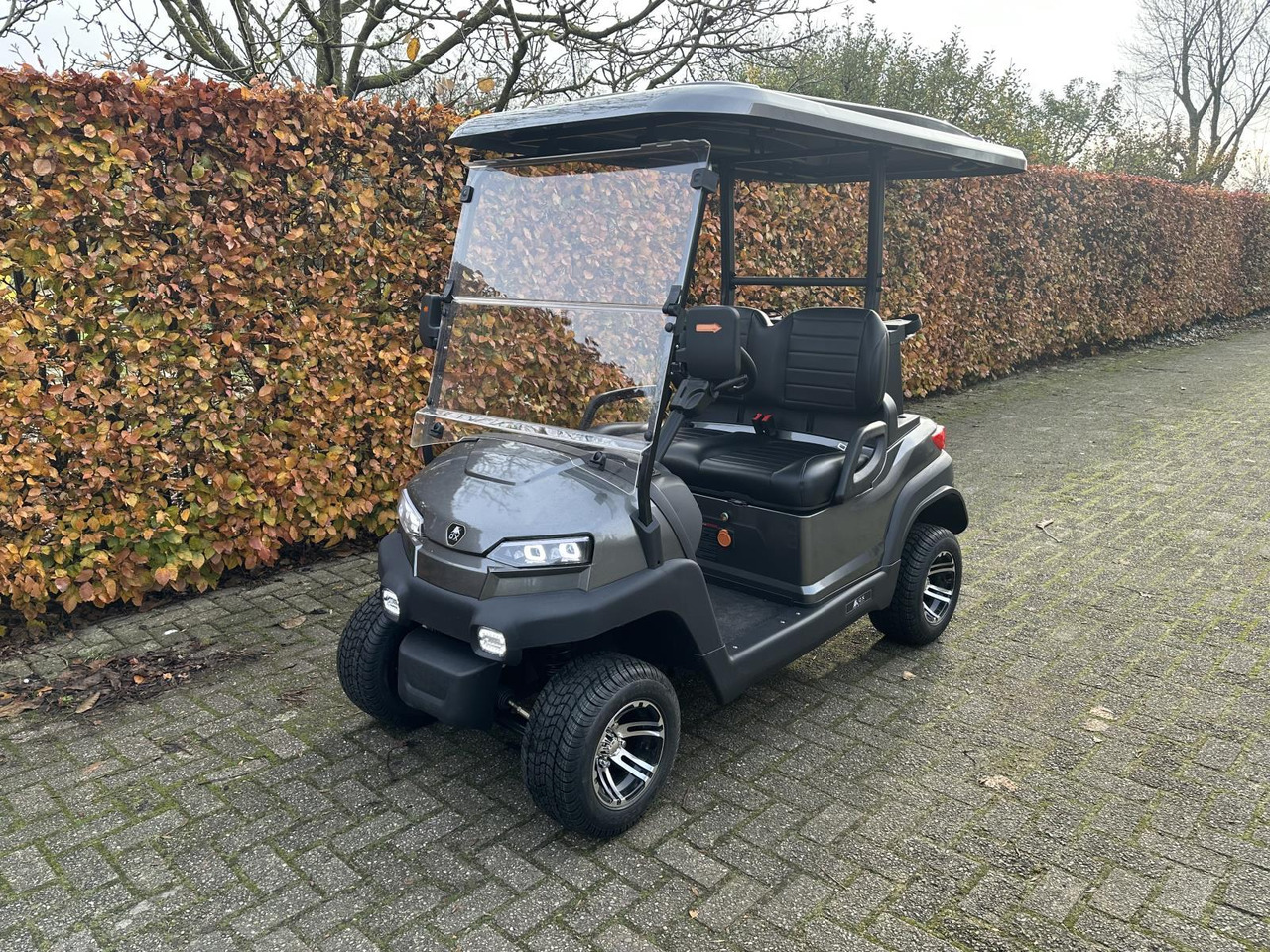 OX ZG2 2-zit Golfkar Grijs (Demo) - Carrito de golf: foto 1 OX ZG2 2-zit Golfkar Grijs (Demo) - Carrito de golf: foto 1