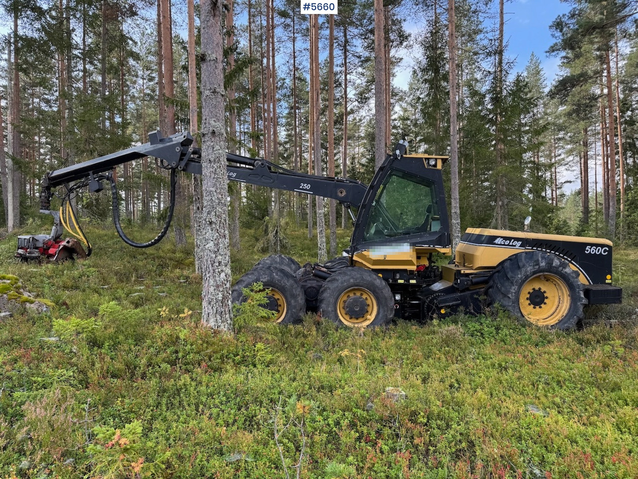 Procesadora forestal 2010 Eco Log 560C.: foto 1