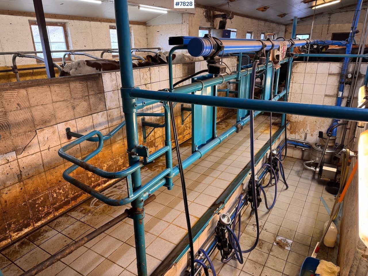 Alfa Laval milking parlour, sold complete - Máquina de ordeño: foto 2 Alfa Laval milking parlour, sold complete - Máquina de ordeño: foto 2