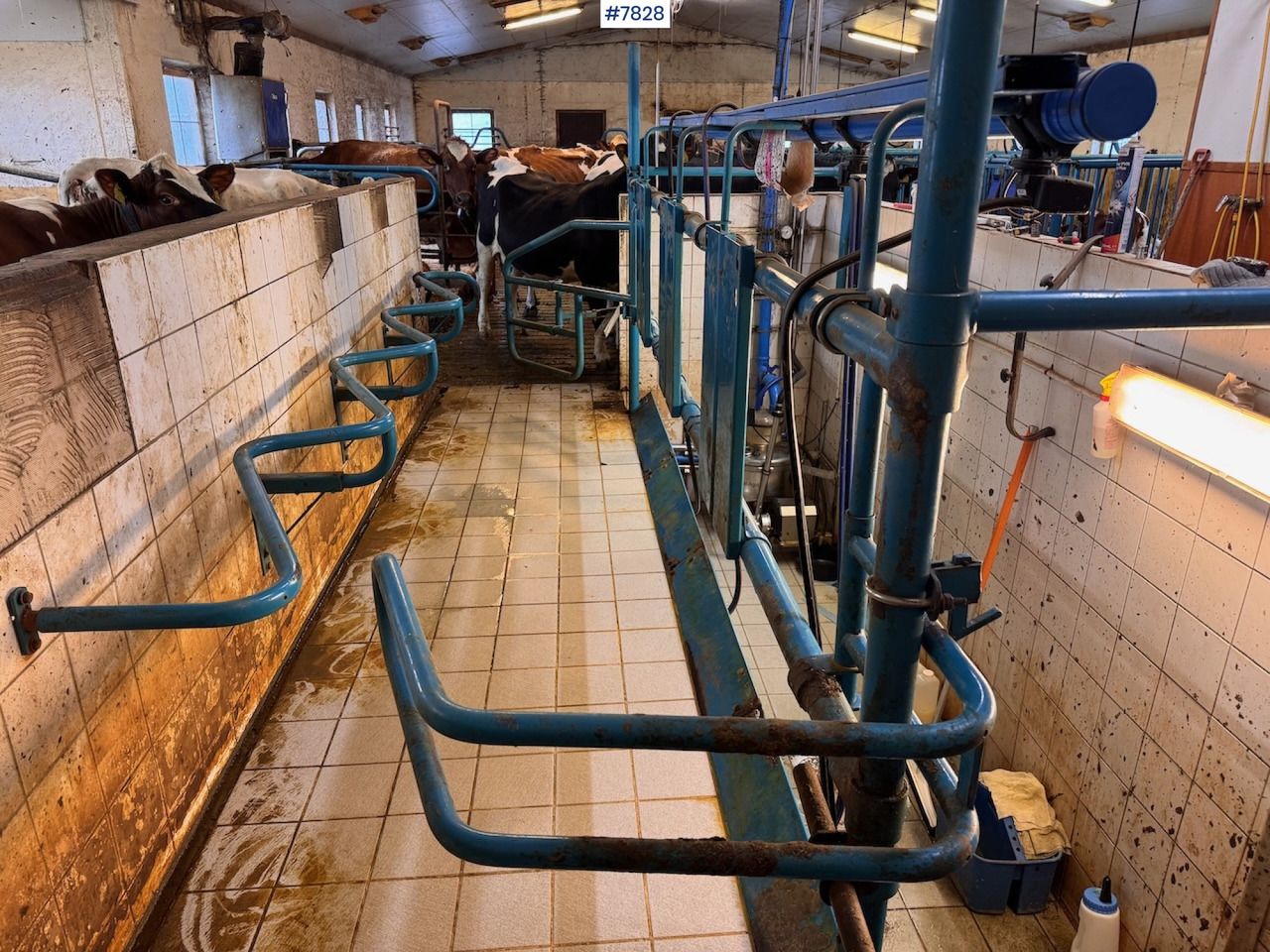 Alfa Laval milking parlour, sold complete - Máquina de ordeño: foto 3 Alfa Laval milking parlour, sold complete - Máquina de ordeño: foto 3
