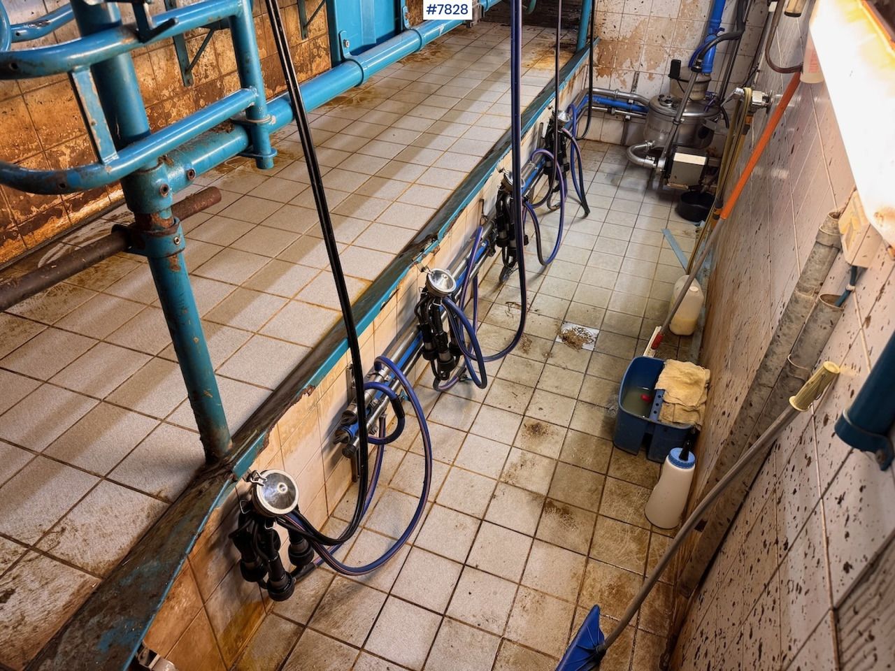 Alfa Laval milking parlour, sold complete - Máquina de ordeño: foto 4 Alfa Laval milking parlour, sold complete - Máquina de ordeño: foto 4