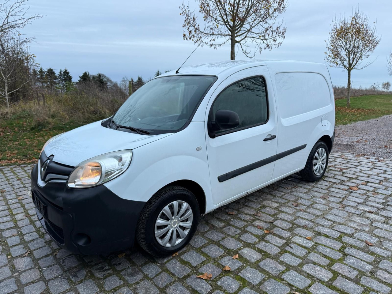 Renault Kangoo Rapid 1.5 dCi Basis *A/C - Furgoneta pequeña: foto 2 Renault Kangoo Rapid 1.5 dCi Basis *A/C - Furgoneta pequeña: foto 2