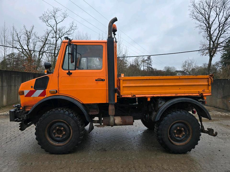 Unimog U1400 Agrar bj. 1995 424 427/10 Mercedes-Benz 1400 1600 1200 1000 - Volquete camión, Vehículo municipal: foto 5 Unimog U1400 Agrar bj. 1995 424 427/10 Mercedes-Benz 1400 1600 1200 1000 - Volquete camión, Vehículo municipal: foto 5