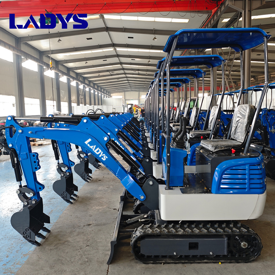 LADYS DY12Pro Mini Excavator Kubota Engine Euro 5/EPA/CE Mini Excavator Digger Miniexcavadora Mini Excavator For Sale - Excavadora de cadenas: foto 5 LADYS DY12Pro Mini Excavator Kubota Engine Euro 5/EPA/CE Mini Excavator Digger Miniexcavadora Mini Excavator For Sale - Excavadora de cadenas: foto 5