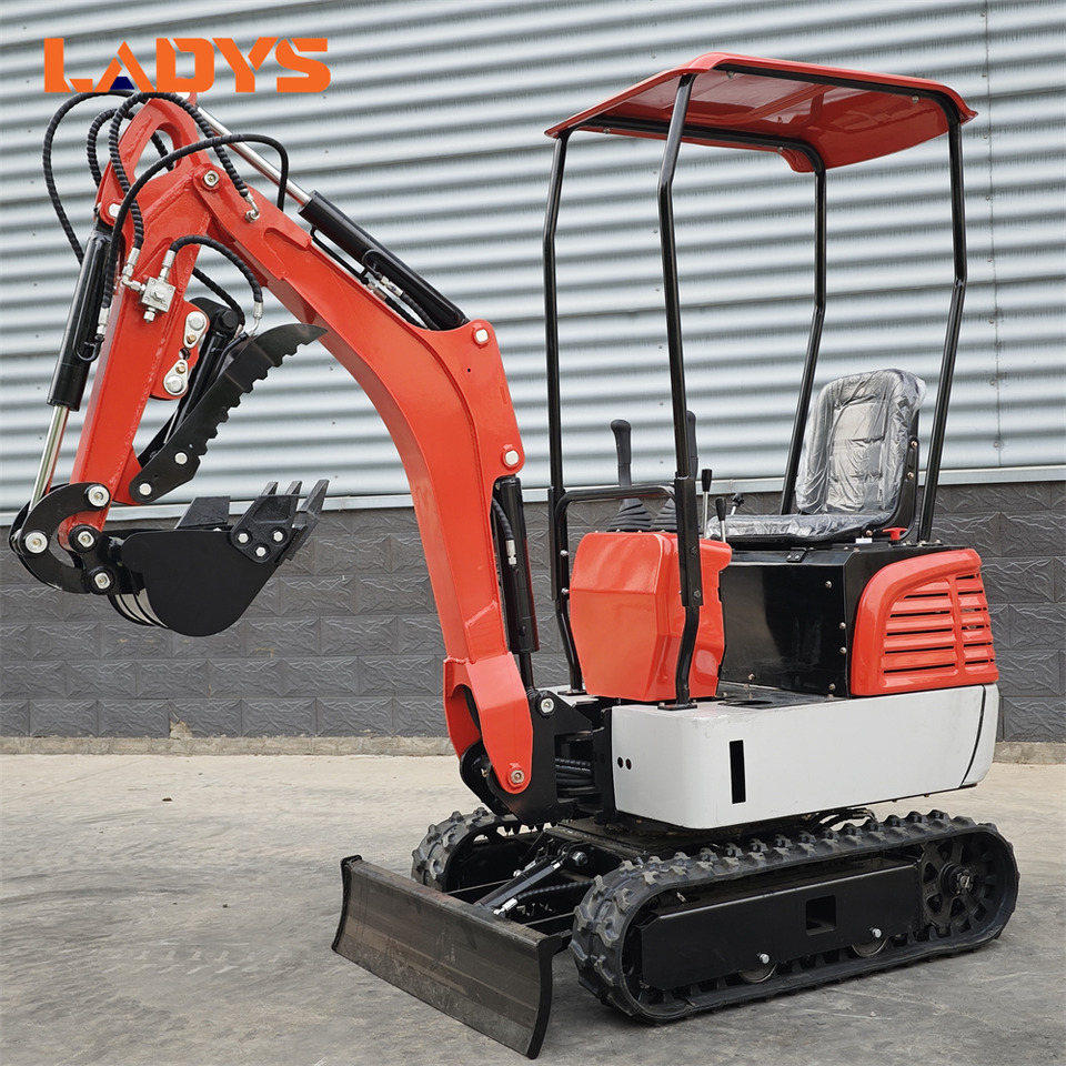 LADYS DY12Pro Mini Excavator Euro 5/Epa Engine Kubota Mini Excavator For Sale - Miniexcavadora: foto 4 LADYS DY12Pro Mini Excavator Euro 5/Epa Engine Kubota Mini Excavator For Sale - Miniexcavadora: foto 4