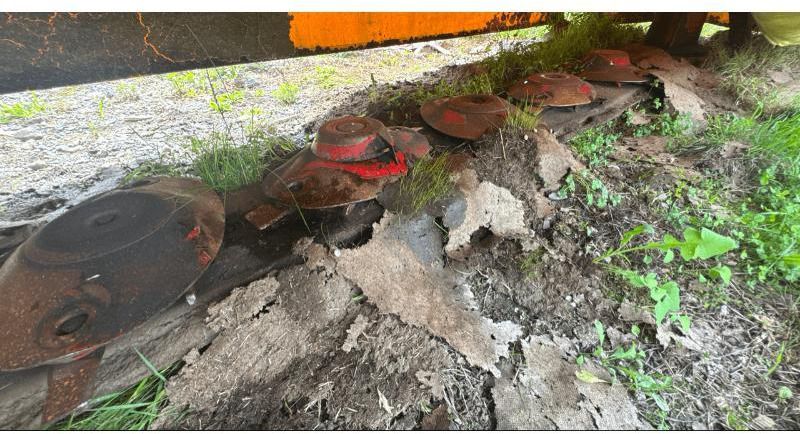 POTTINGER NOVACAT 352 - Segadora: foto 3 POTTINGER NOVACAT 352 - Segadora: foto 3