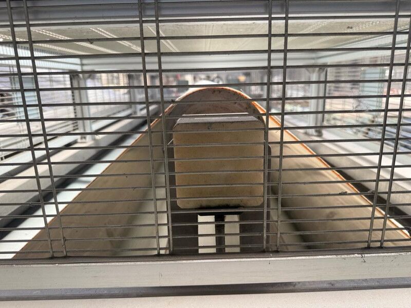 Maquinaria de construcción CARTIGLIANO TC: foto 6