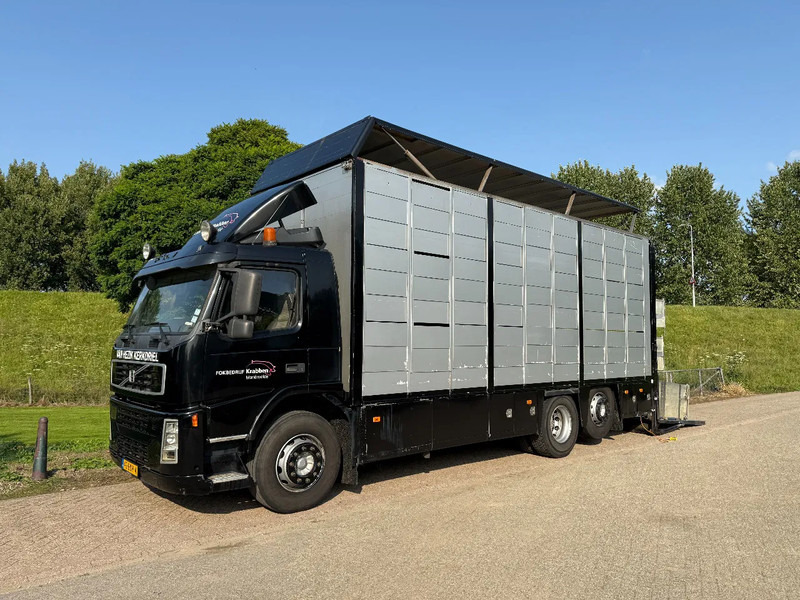 Volvo FM 300 Livestock Cuppers 3 laags 6x2 - Transporte de ganado camión: foto 1 Volvo FM 300 Livestock Cuppers 3 laags 6x2 - Transporte de ganado camión: foto 1