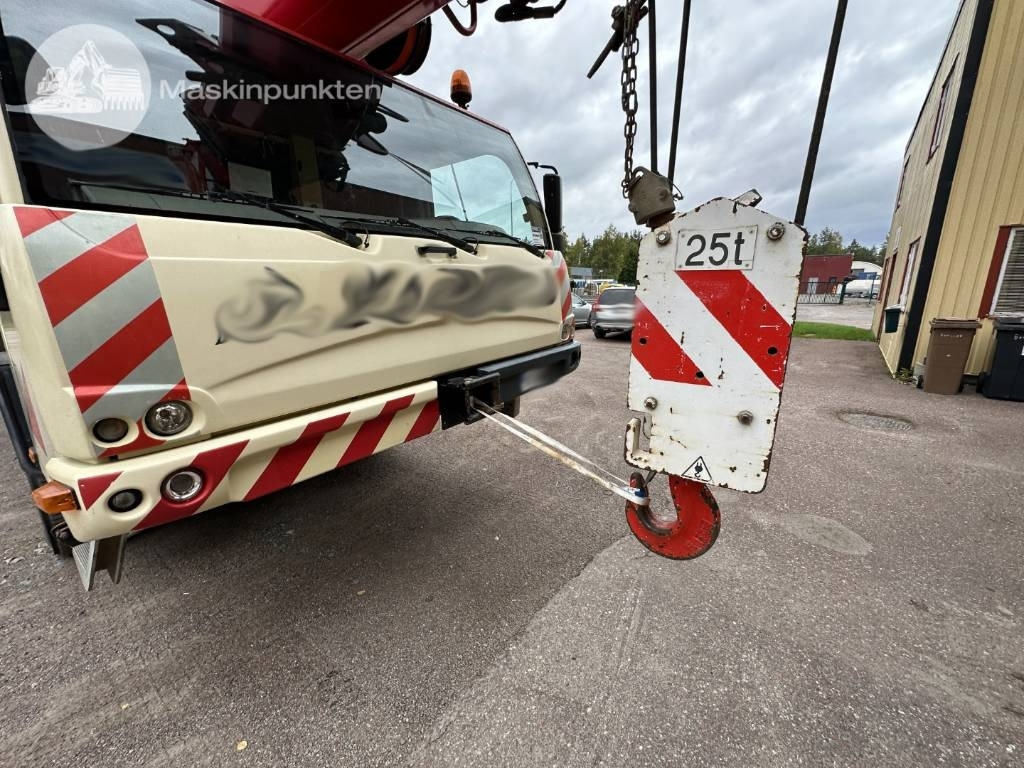 Grúa todo terreno Terex TC 45 L: foto 35