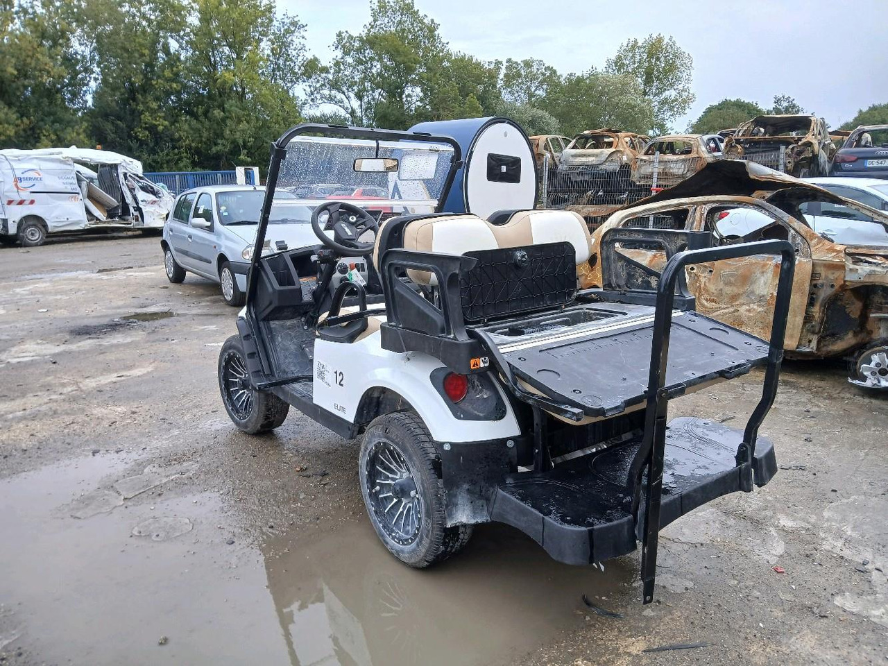 Cuadrimoto (NA) EZGO ELITE: foto 7