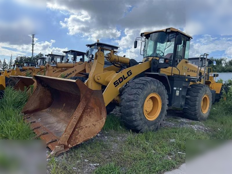 Cargadora de ruedas SDLG L955F: foto 1