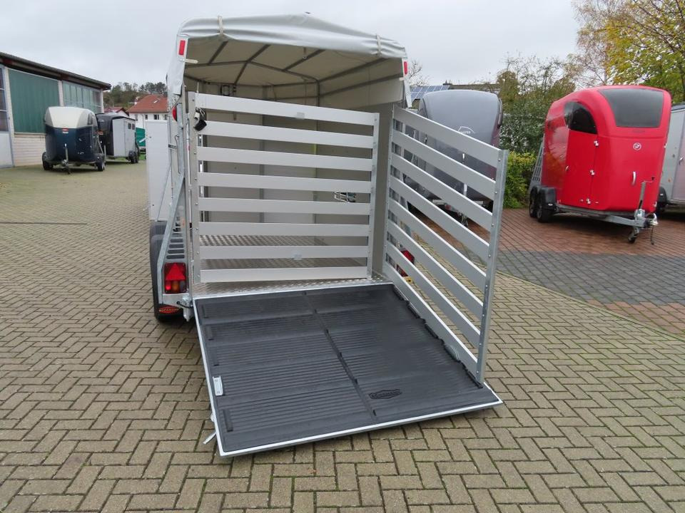 Transporte de ganado remolque Böckmann Viehanhänger, 2,4 to. Tür/Rampekombi, Humbaur, Fendt: foto 17