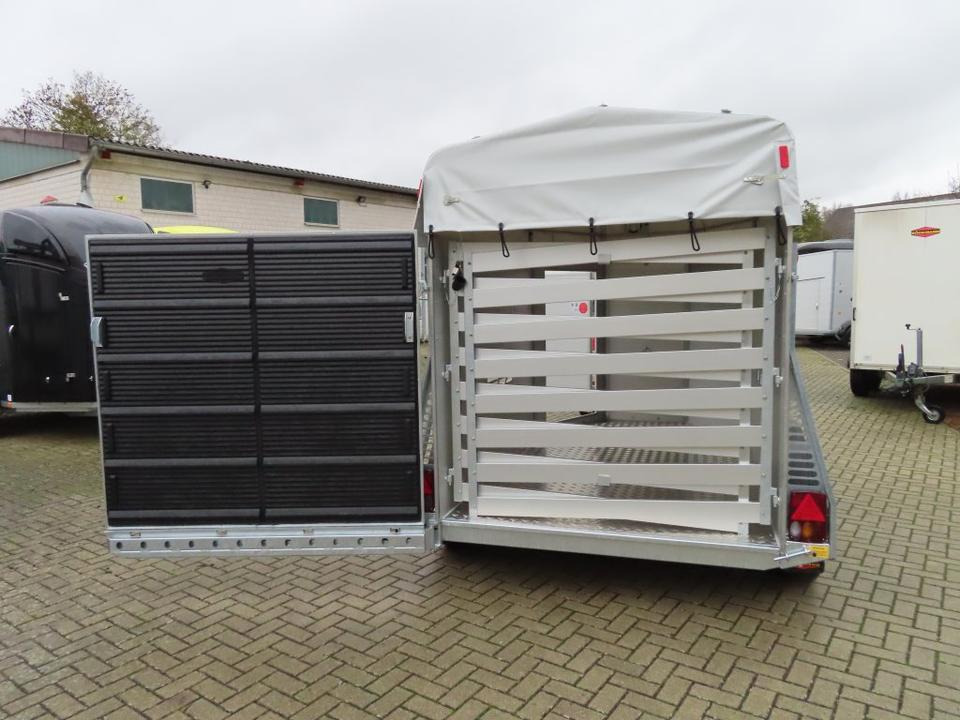 Transporte de ganado remolque Böckmann Viehanhänger, 2,4 to. Tür/Rampekombi, Humbaur, Fendt: foto 16