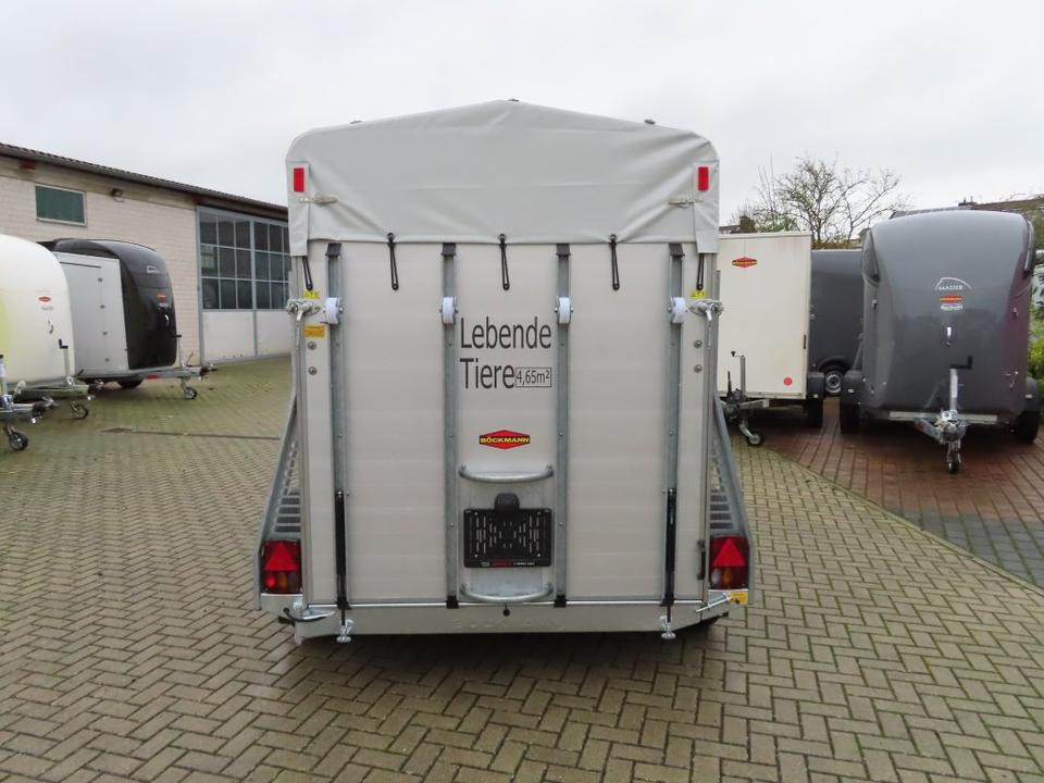 Transporte de ganado remolque Böckmann Viehanhänger, 2,4 to. Tür/Rampekombi, Humbaur, Fendt: foto 12