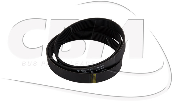 HUTCHINSON BELT - IRISBUS - IVECO - RVI DAF NEOPLAN (5001008878 | 0611049 | 730103278) - Correa para Autobús: foto 1 HUTCHINSON BELT - IRISBUS - IVECO - RVI DAF NEOPLAN (5001008878 | 0611049 | 730103278) - Correa para Autobús: foto 1
