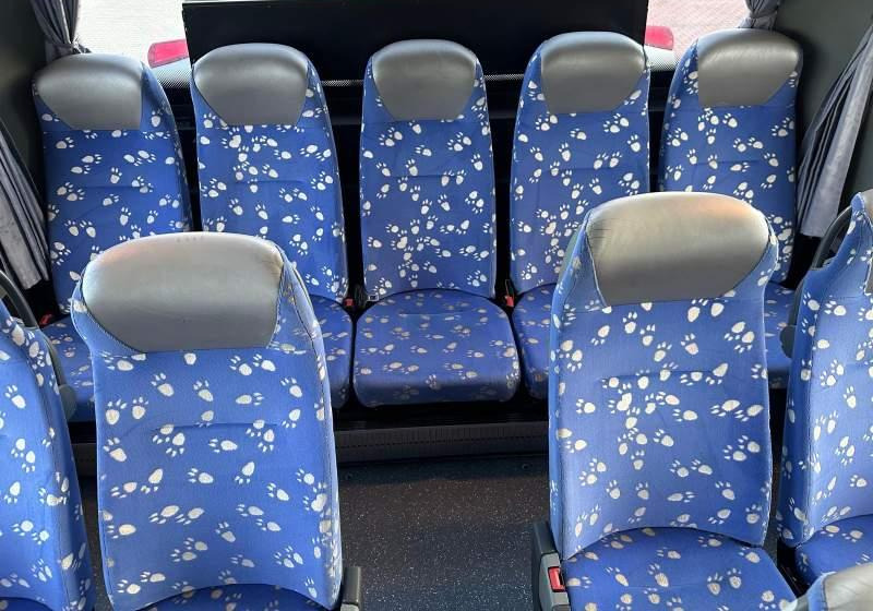 Autobús suburbano Setra 2 x S415 GT-UL  Euro-5: foto 20