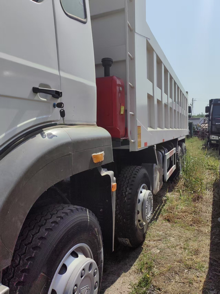 Volquete camión howo HOWO 8X4 dump truck for sale: foto 6