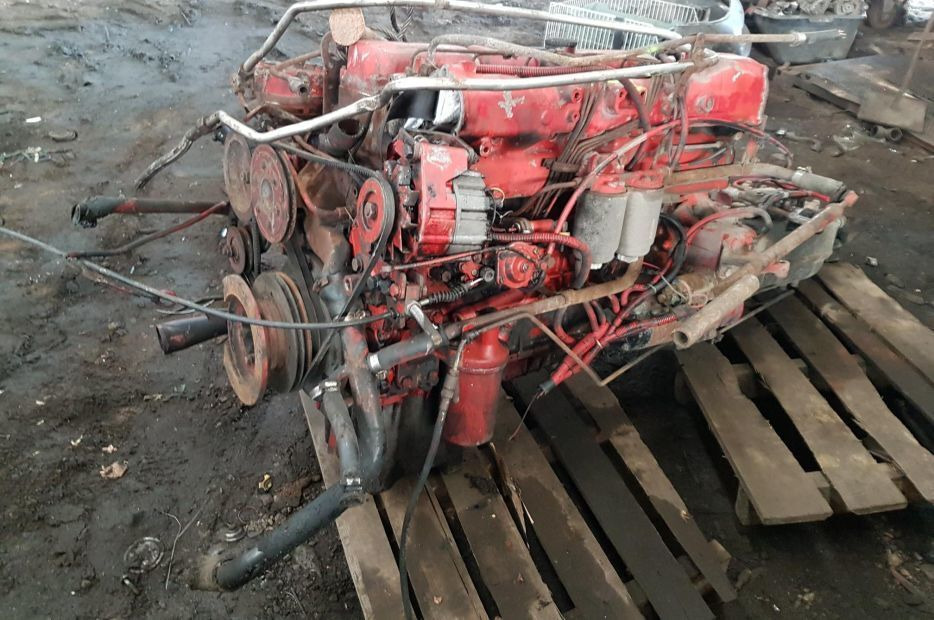 MAN D0226 MKF/170 Van Hool T8-Series - Motor para Camión: foto 1 MAN D0226 MKF/170 Van Hool T8-Series - Motor para Camión: foto 1