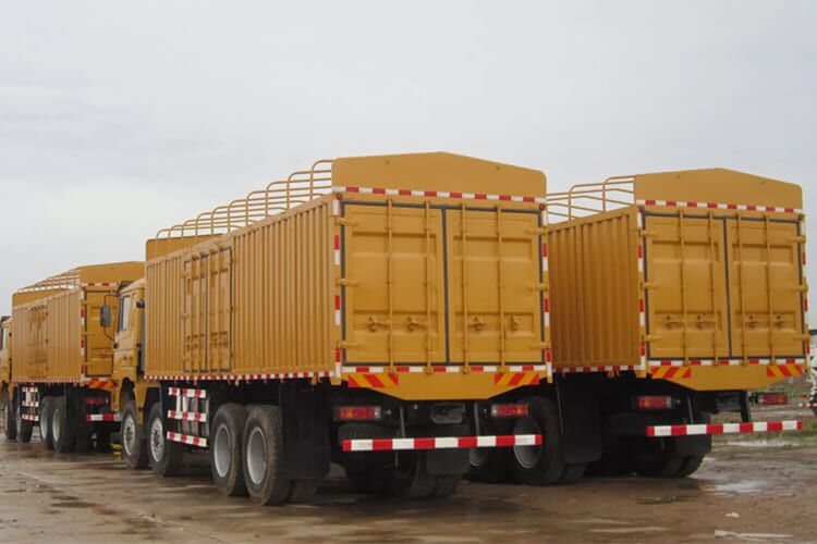 SHACMAN Shacman F3000 8x4 Cargo Truck for Kenya - Transporte de ganado camión: foto 5 SHACMAN Shacman F3000 8x4 Cargo Truck for Kenya - Transporte de ganado camión: foto 5