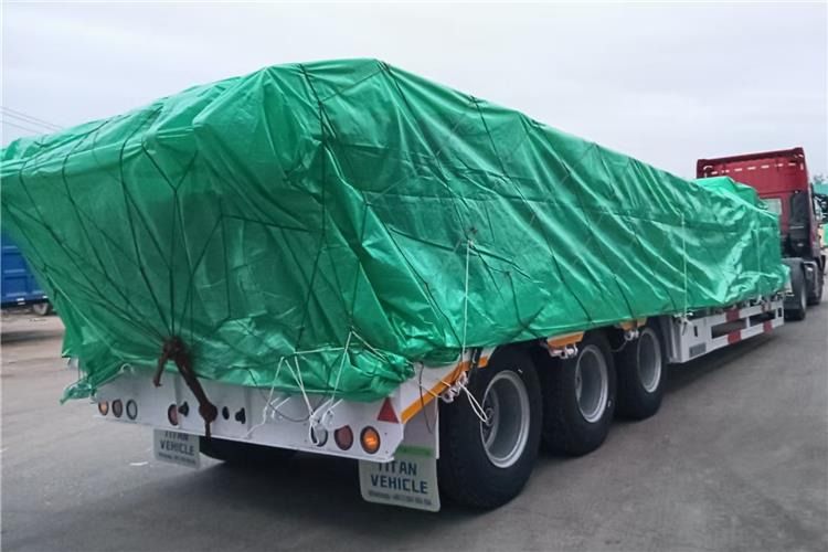 TITAN 60 Ton Low Bed Trailer for Sale In Tananiza - Góndola rebajadas semirremolque: foto 4 TITAN 60 Ton Low Bed Trailer for Sale In Tananiza - Góndola rebajadas semirremolque: foto 4