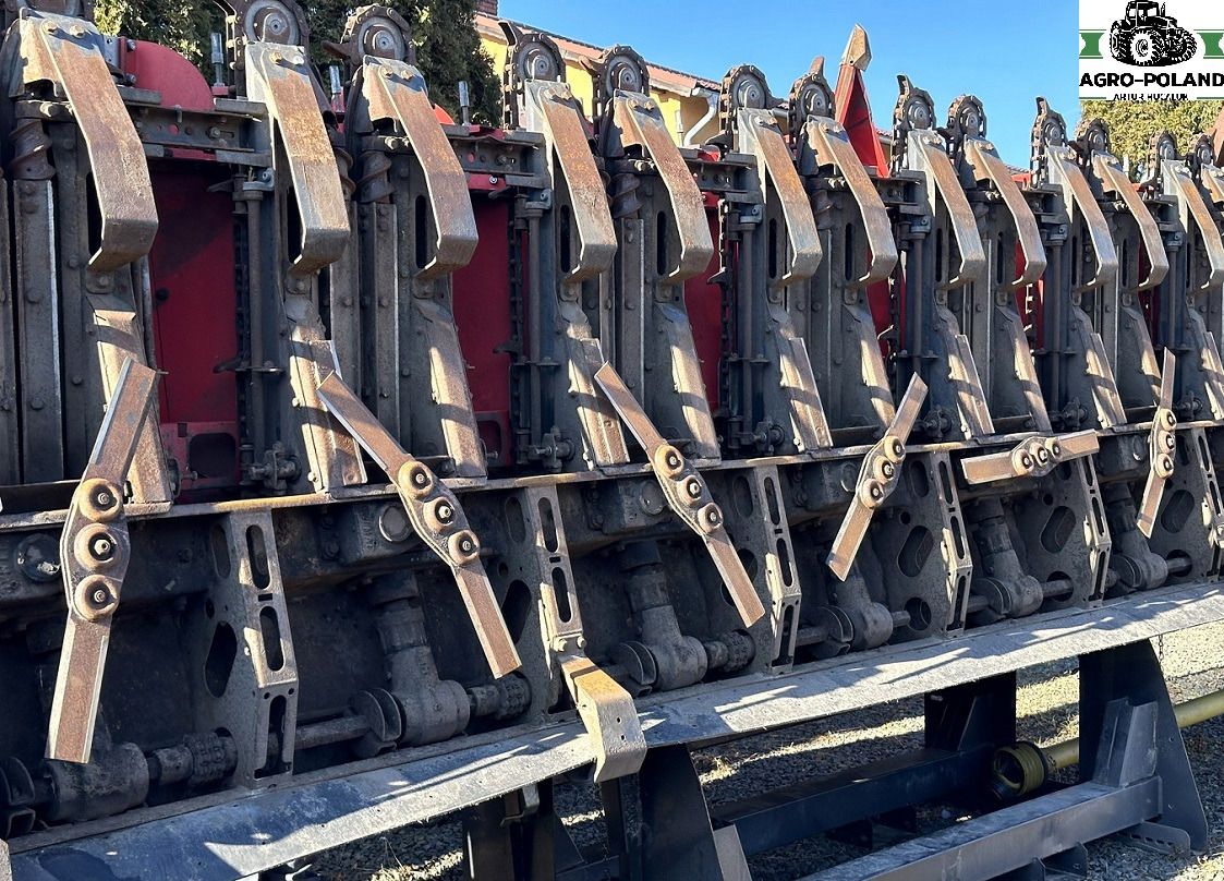 OLIMAC DRAGO 2 - S 8 TR - 8X70 - 2017 ROK - Cabezal de maíz: foto 4 OLIMAC DRAGO 2 - S 8 TR - 8X70 - 2017 ROK - Cabezal de maíz: foto 4