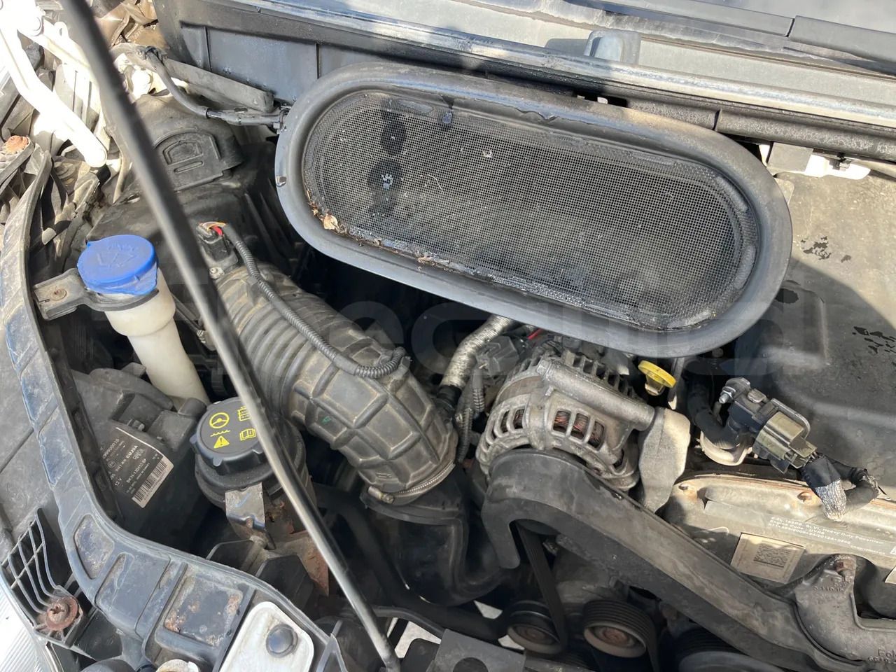 Minibús, Furgoneta de pasajeros Ford Transit: foto 20 Minibús, Furgoneta de pasajeros Ford Transit: foto 20