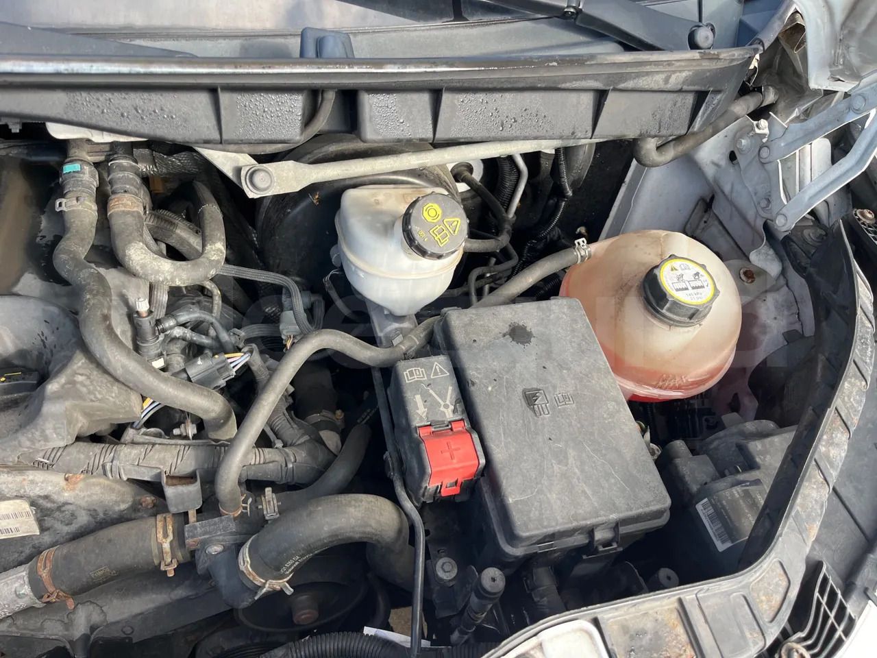 Minibús, Furgoneta de pasajeros Ford Transit: foto 22 Minibús, Furgoneta de pasajeros Ford Transit: foto 22