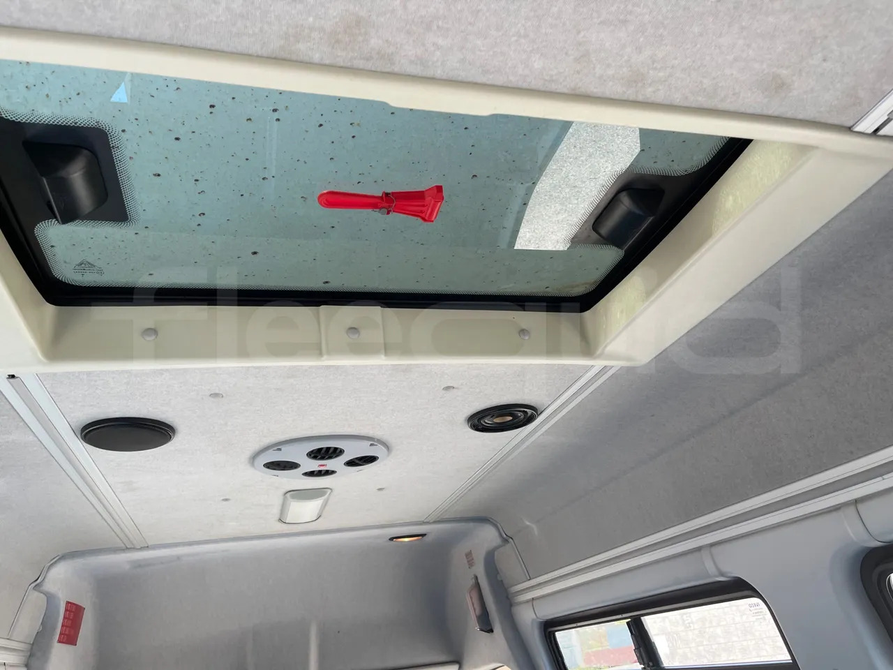 Autobús escolar Iveco Daily: foto 20
