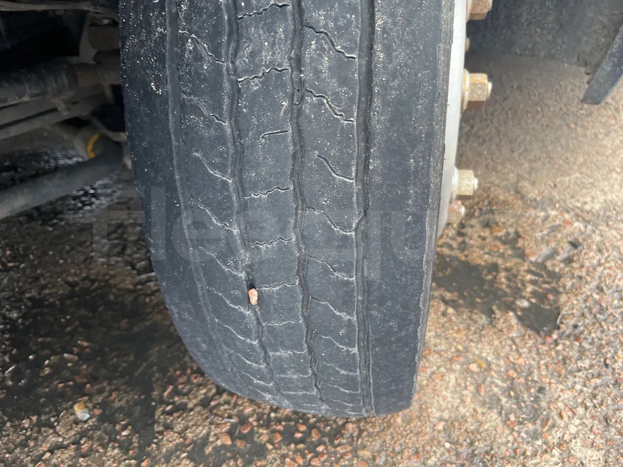 Autocar Iveco Mago2: foto 44