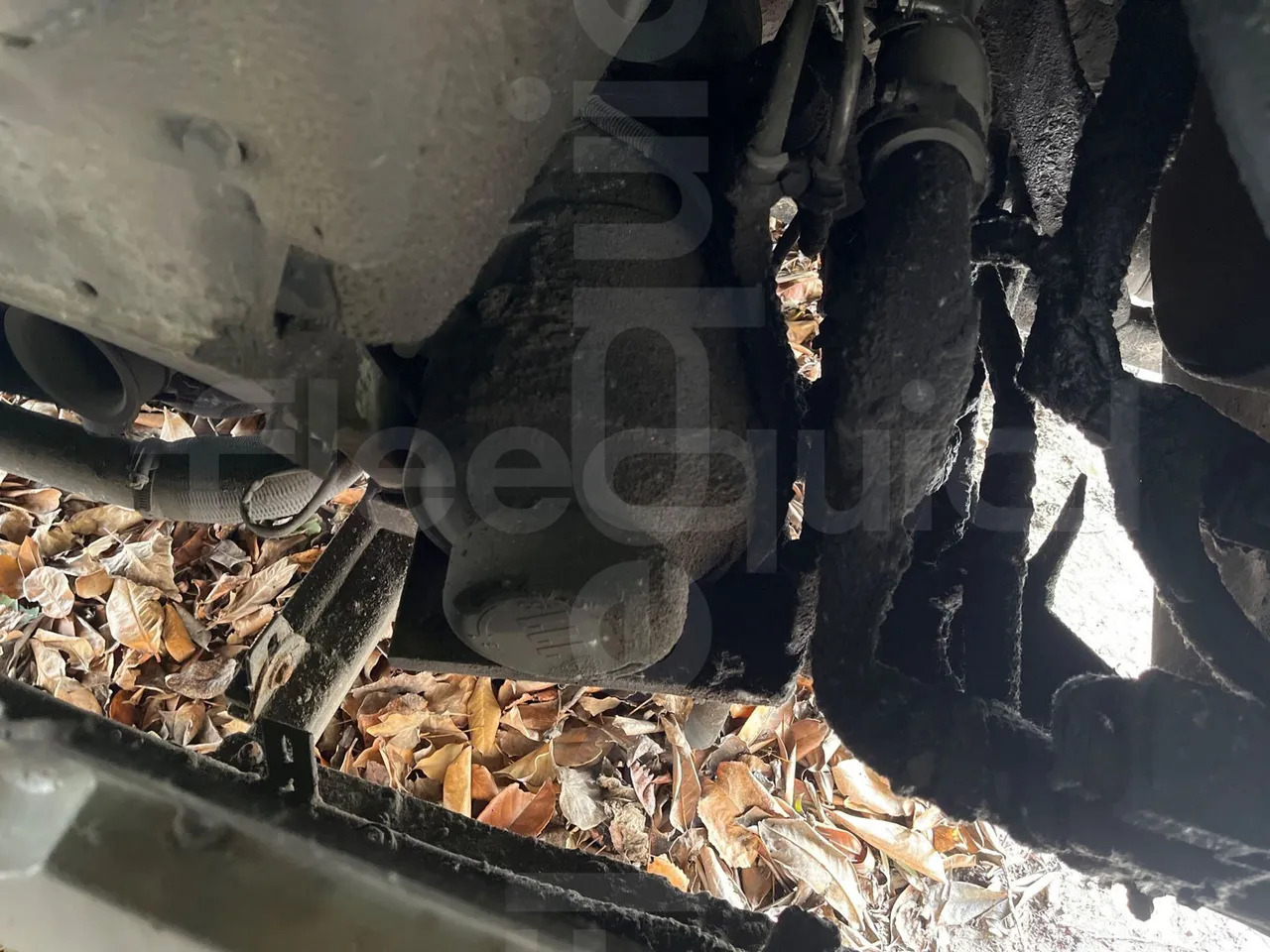 Autobús urbano Man Lion's City: foto 23 Autobús urbano Man Lion's City: foto 23