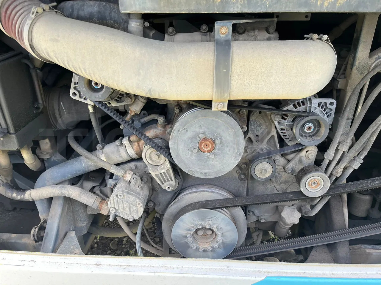 Autobús suburbano Temsa Safari: foto 11