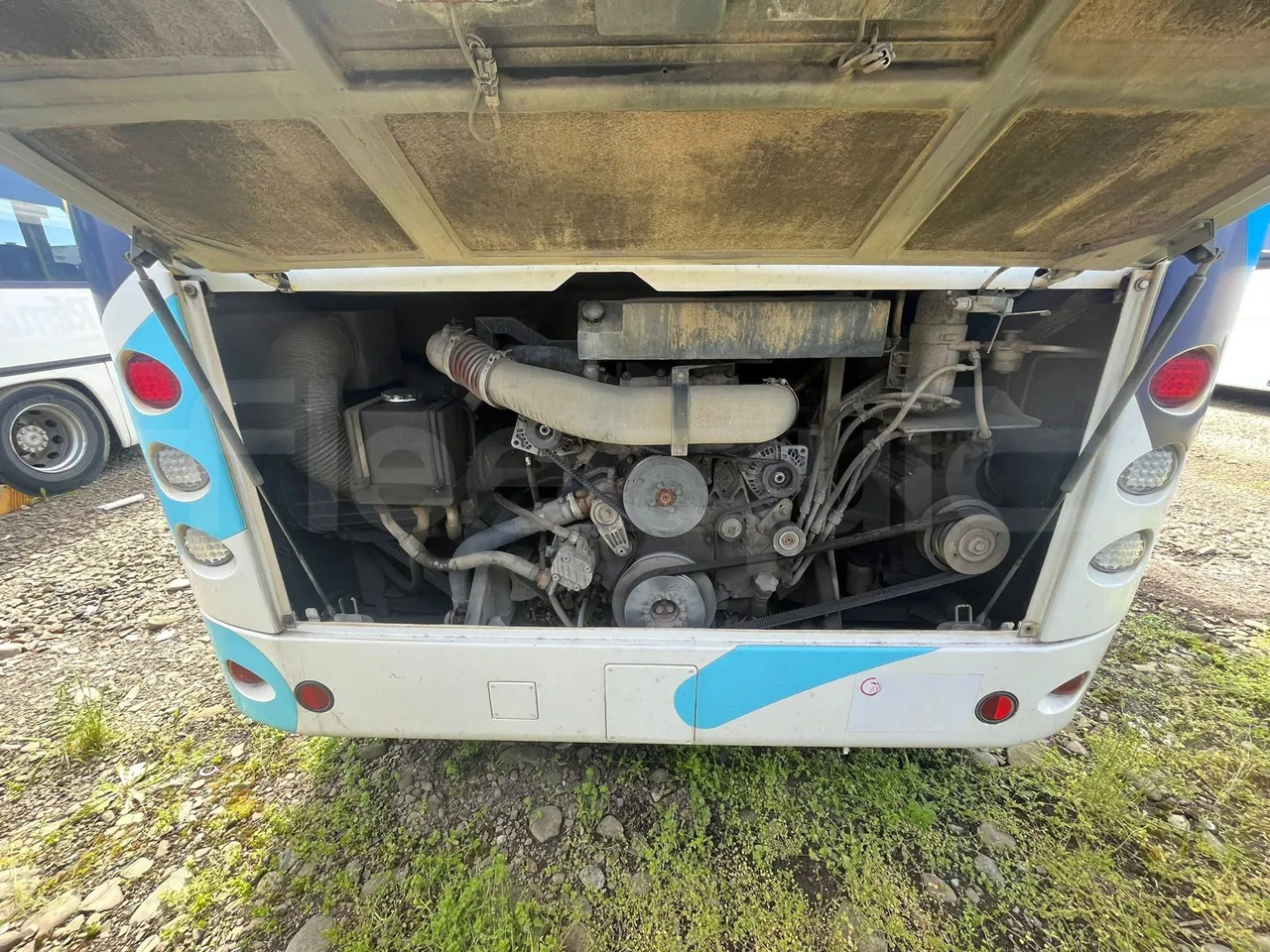 Autobús suburbano Temsa Safari: foto 10