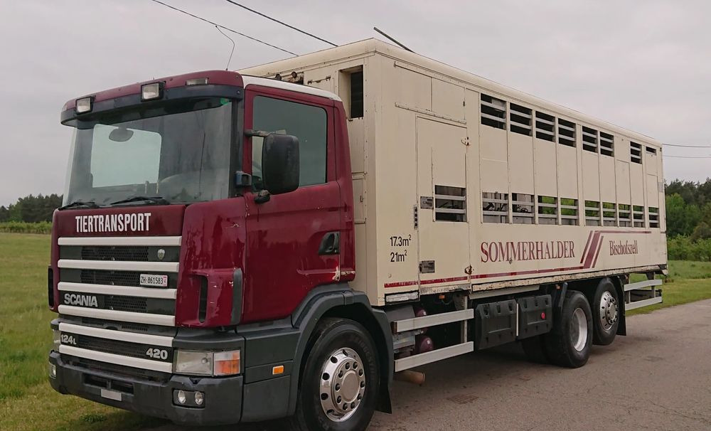 Scania 124 420 Do żywca - Transporte de ganado camión: foto 1 Scania 124 420 Do żywca - Transporte de ganado camión: foto 1