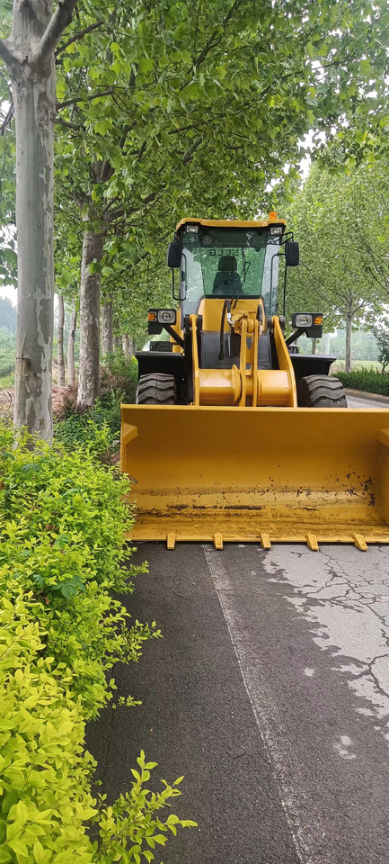 Cargadora de ruedas SDLG lg936l china brand SDLG loader 3 ton class front loader low price: foto 7