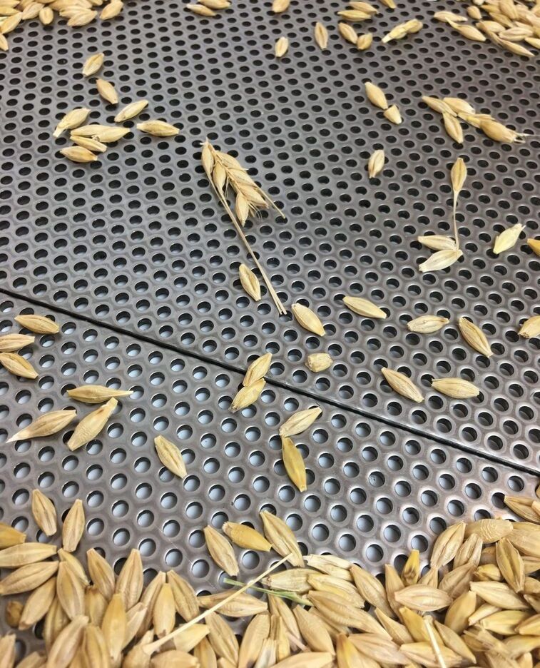 Grain sieves for Petkus and universal K531 / K527 / K525 / K547 / 79x99 100x200cm - Limpiadora de cereales: foto 1 Grain sieves for Petkus and universal K531 / K527 / K525 / K547 / 79x99 100x200cm - Limpiadora de cereales: foto 1