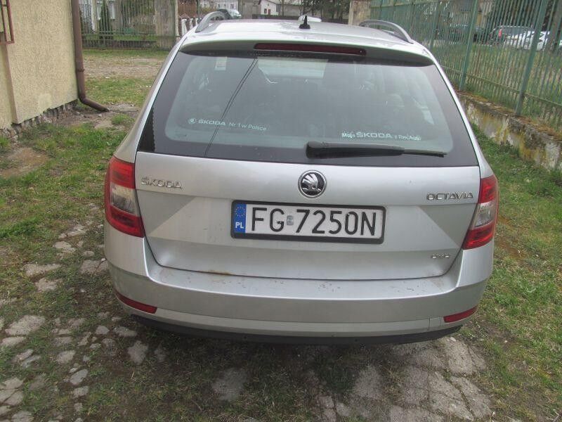 Skoda Octavia III 2.0 TDI-CR MR`18 E6 Kombi - Coche familiar: foto 3 Skoda Octavia III 2.0 TDI-CR MR`18 E6 Kombi - Coche familiar: foto 3