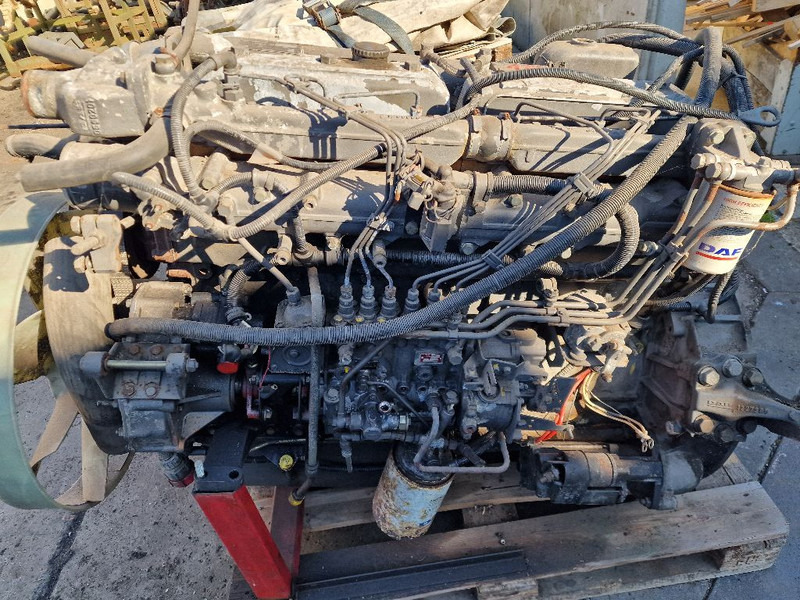 DAF 865 RS200L - Motor: foto 5 DAF 865 RS200L - Motor: foto 5