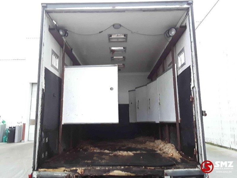 Transporte de ganado camión Iveco Magirus 80 16 horse truck: foto 11