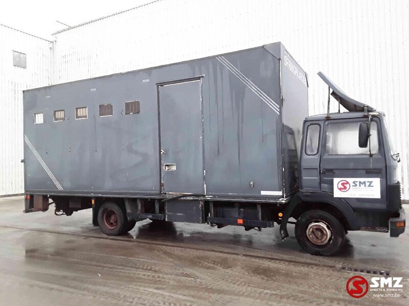 Iveco Magirus 80 16 horse truck - Transporte de ganado camión: foto 4 Iveco Magirus 80 16 horse truck - Transporte de ganado camión: foto 4