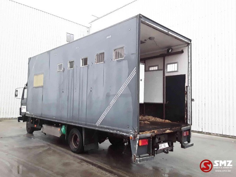 Transporte de ganado camión Iveco Magirus 80 16 horse truck: foto 8