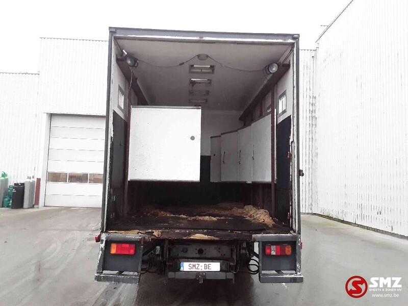 Transporte de ganado camión Iveco Magirus 80 16 horse truck: foto 9