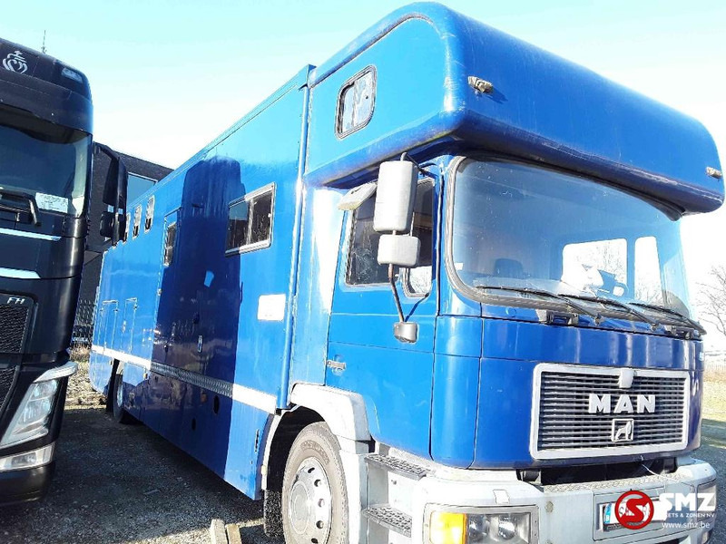 MAN 18.264 - Transporte de ganado camión: foto 3 MAN 18.264 - Transporte de ganado camión: foto 3