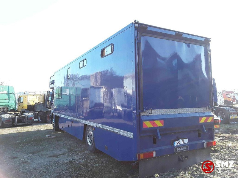 Transporte de ganado camión MAN 18.264: foto 6