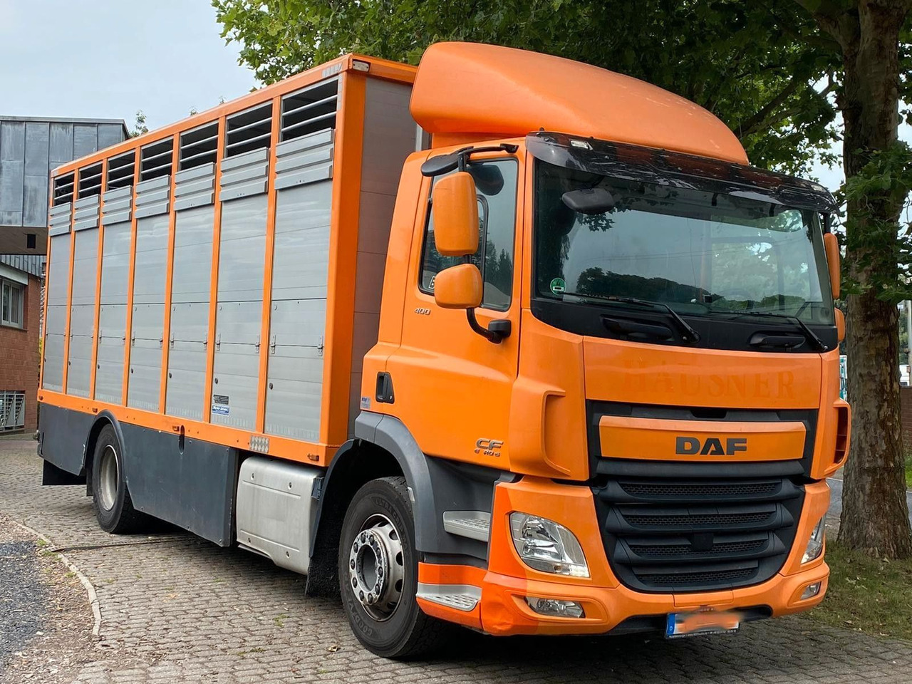 DAF CF 400 Menke Einstock - Camión para caballos: foto 3 DAF CF 400 Menke Einstock - Camión para caballos: foto 3