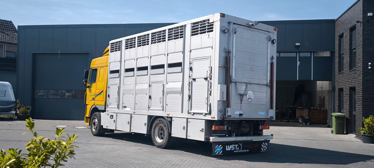 Camión para caballos DAF XF 410 SC Menke Doppelstock: foto 6 Camión para caballos DAF XF 410 SC Menke Doppelstock: foto 6