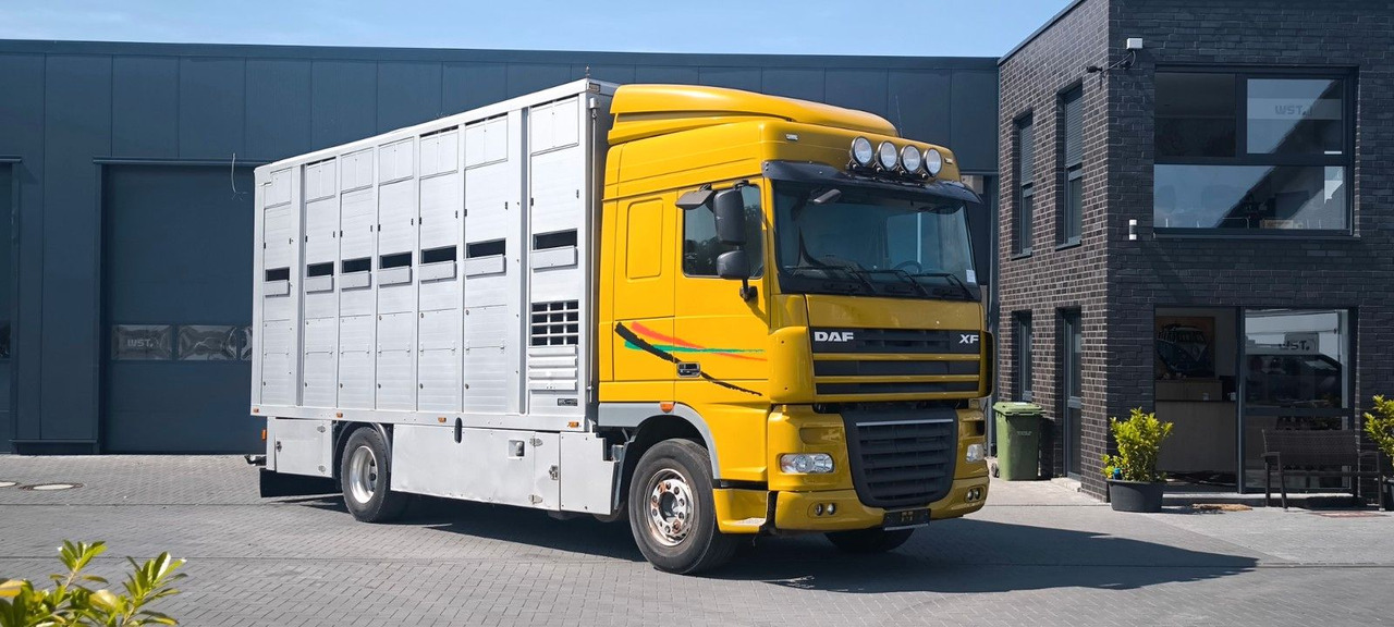 DAF XF 410 SC Menke Doppelstock - Camión para caballos: foto 2 DAF XF 410 SC Menke Doppelstock - Camión para caballos: foto 2