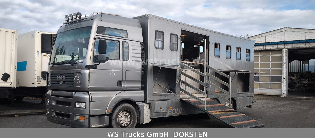 MAN TGA 26.480 FG 6x2 Pferdetransporter Luft/Luft - Camión para caballos: foto 1 MAN TGA 26.480 FG 6x2 Pferdetransporter Luft/Luft - Camión para caballos: foto 1