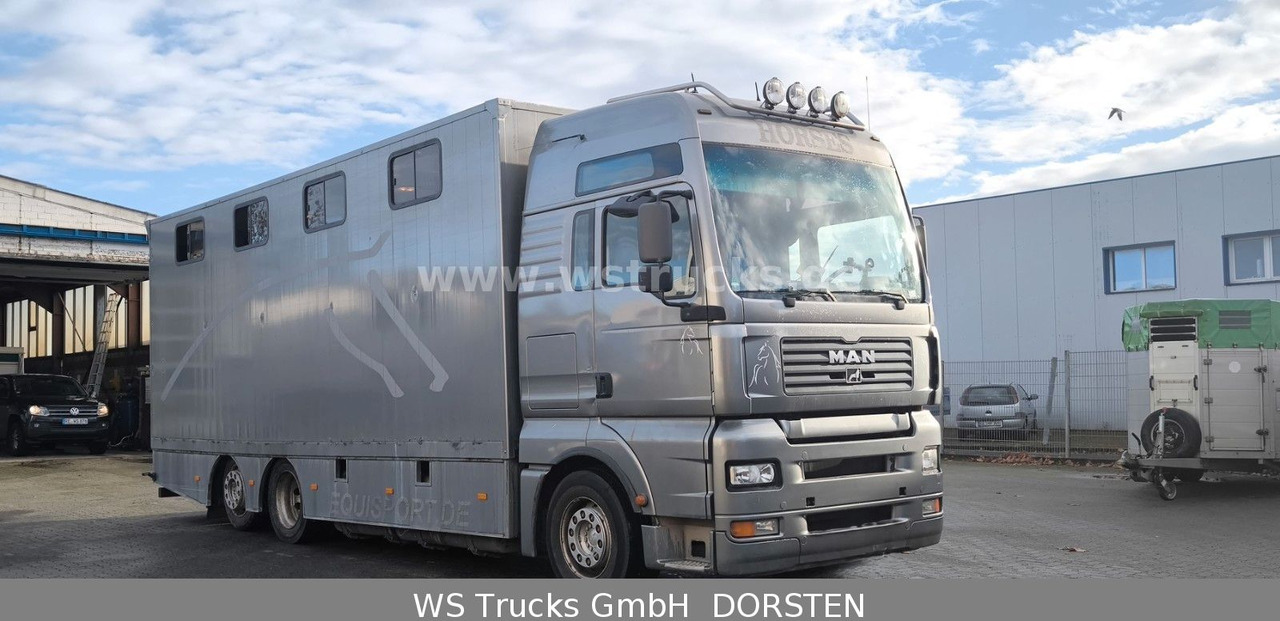 MAN TGA 26.480 FG 6x2 Pferdetransporter Luft/Luft - Camión para caballos: foto 3 MAN TGA 26.480 FG 6x2 Pferdetransporter Luft/Luft - Camión para caballos: foto 3
