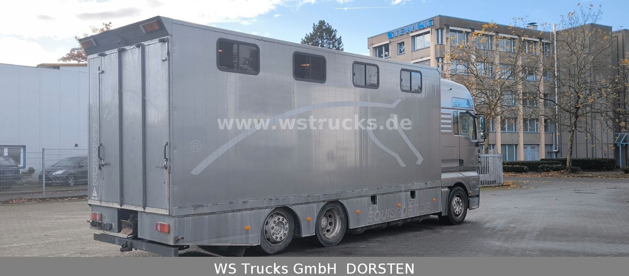 MAN TGA 26.480 FG 6x2 Pferdetransporter Luft/Luft - Camión para caballos: foto 4 MAN TGA 26.480 FG 6x2 Pferdetransporter Luft/Luft - Camión para caballos: foto 4